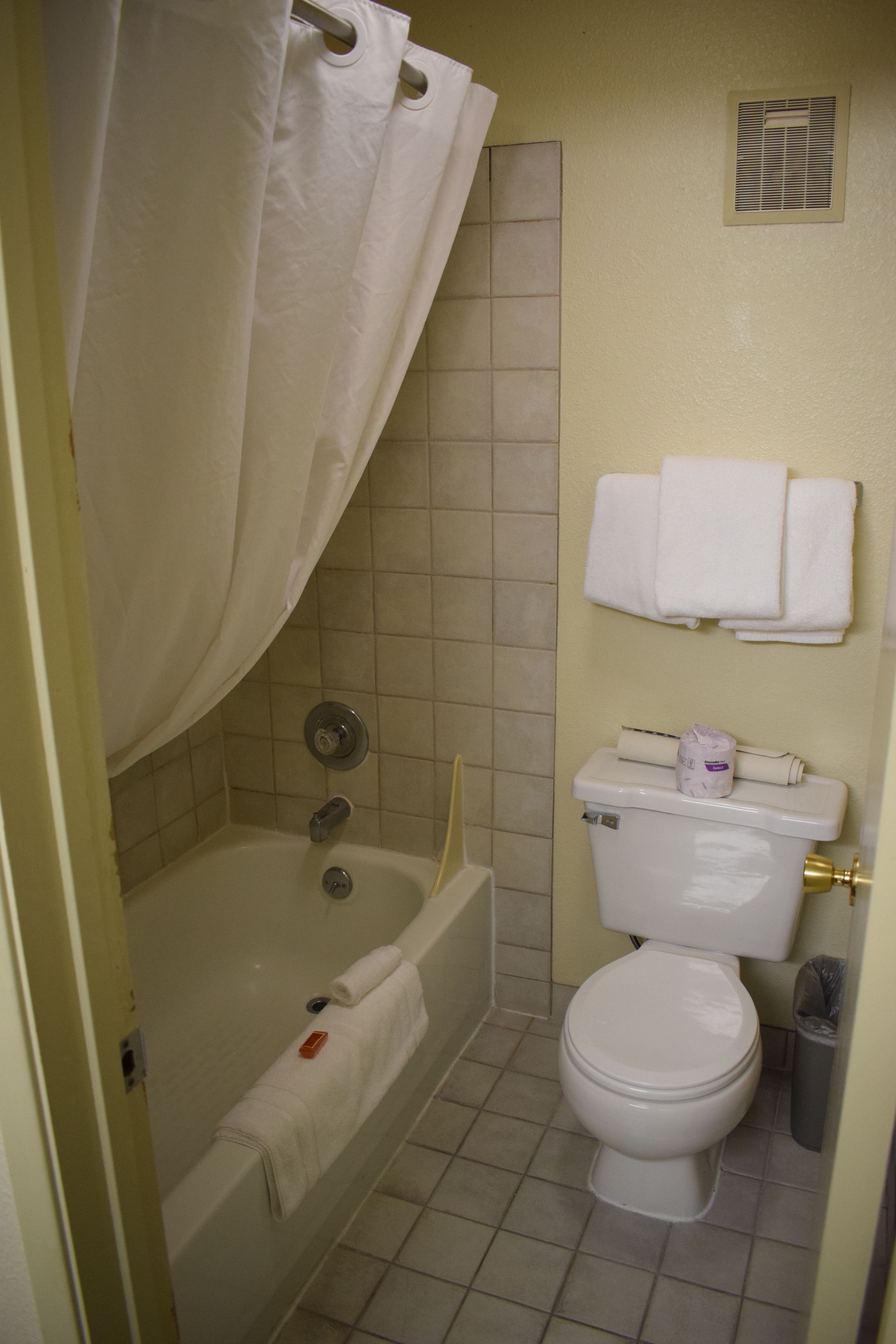 combined shower/bathtub, free toiletries, hair dryer, towels