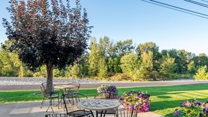 Une terrasse avec une table ronde et des chaises, entourée de plantes en pot et d’un grand arbre.