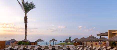 A poolside area with lounge chairs, umbrellas, and a palm tree.