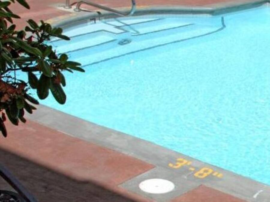 Une piscine rectangulaire avec un bord carrelé et une échelle.
