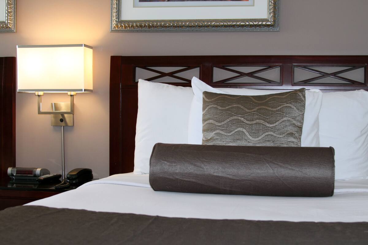 A neatly made bed with a brown pillow and a patterned pillow, a bedside lamp, and a framed picture on the wall.