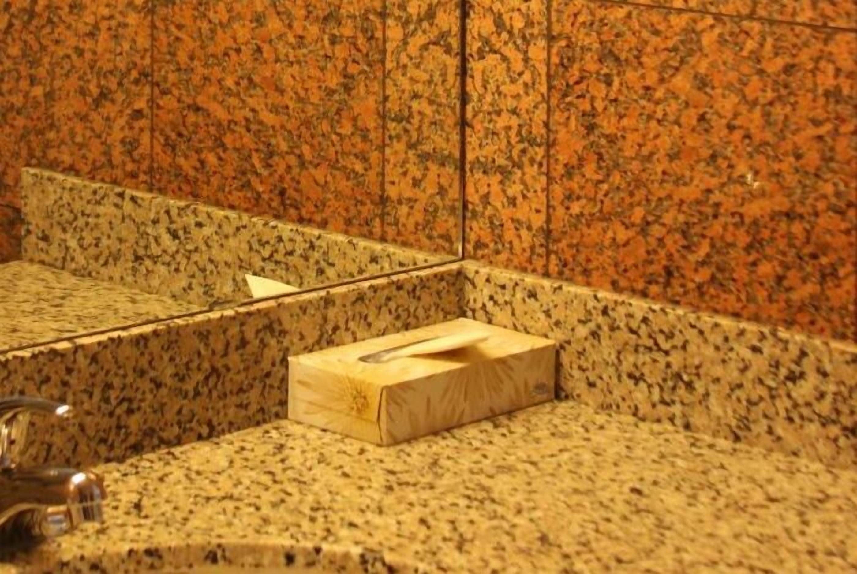 combined shower/bathtub, free toiletries, hair dryer, towels