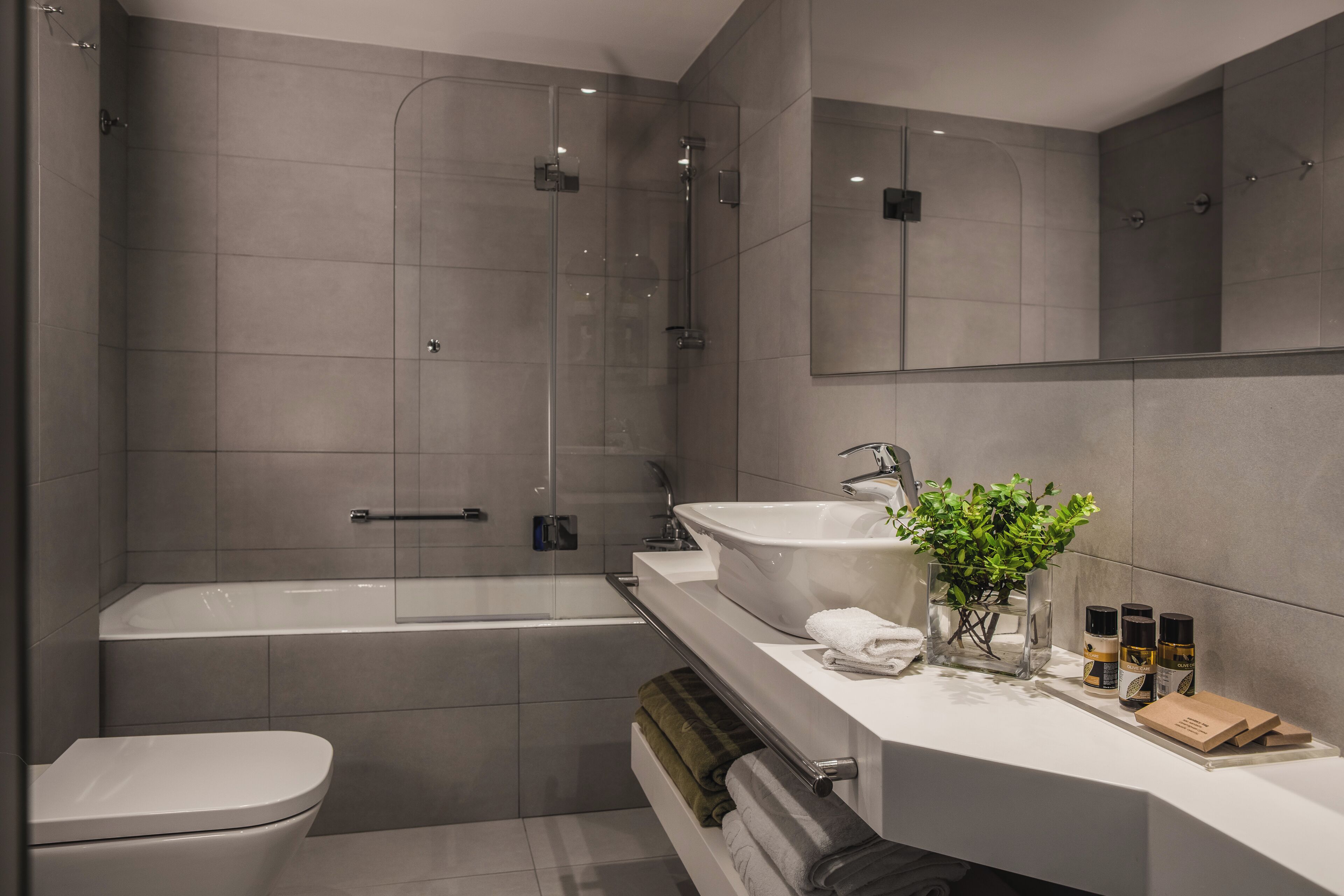 combined shower/bathtub, eco-friendly toiletries, hair dryer, bathrobes