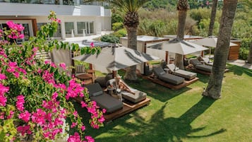 Jardin