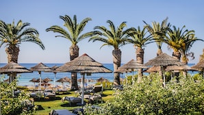 A beachside resort with palm trees, sun loungers, and thatched umbrellas.
