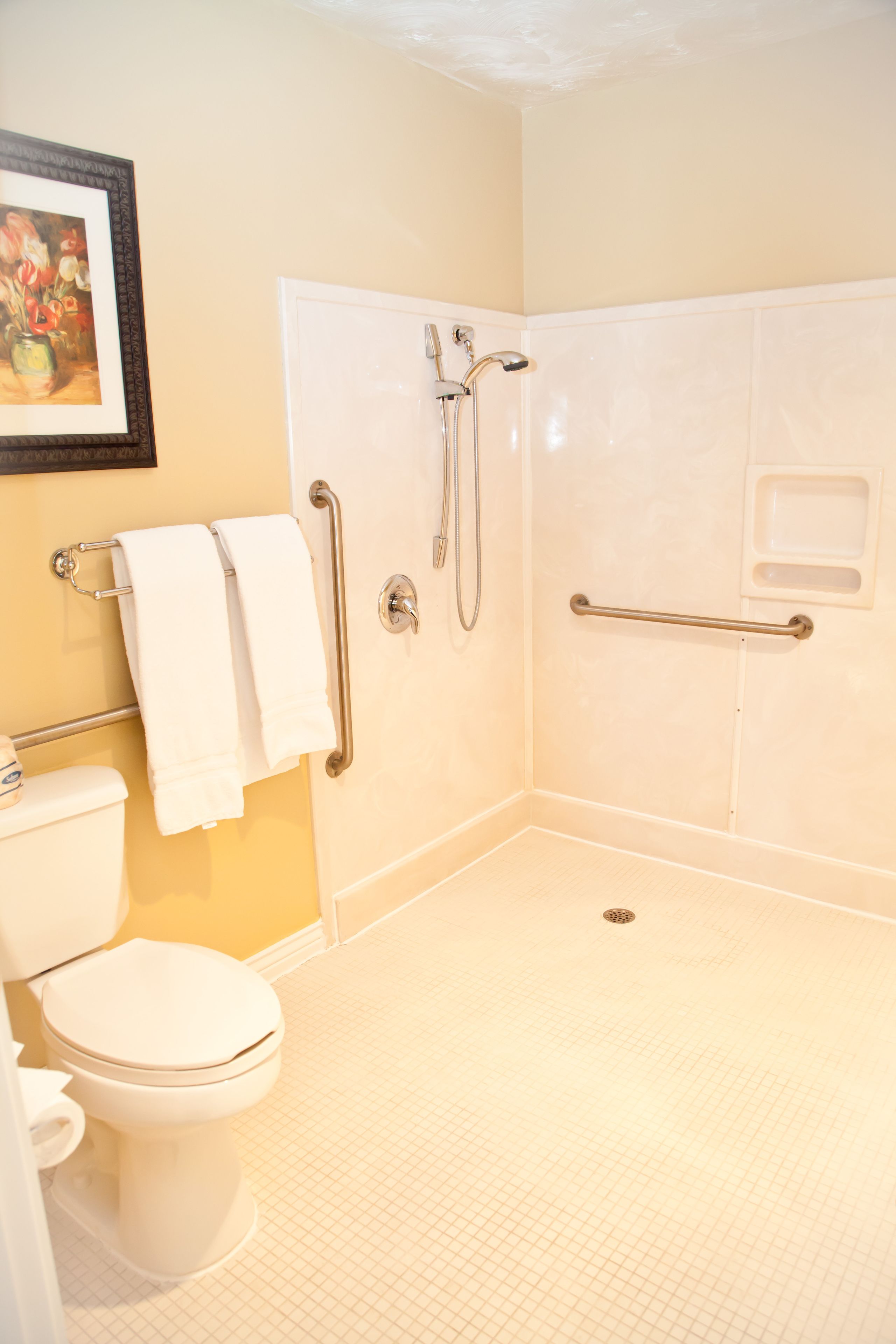 deluxe king ada accessible room (no pets allowed) | bathroom shower