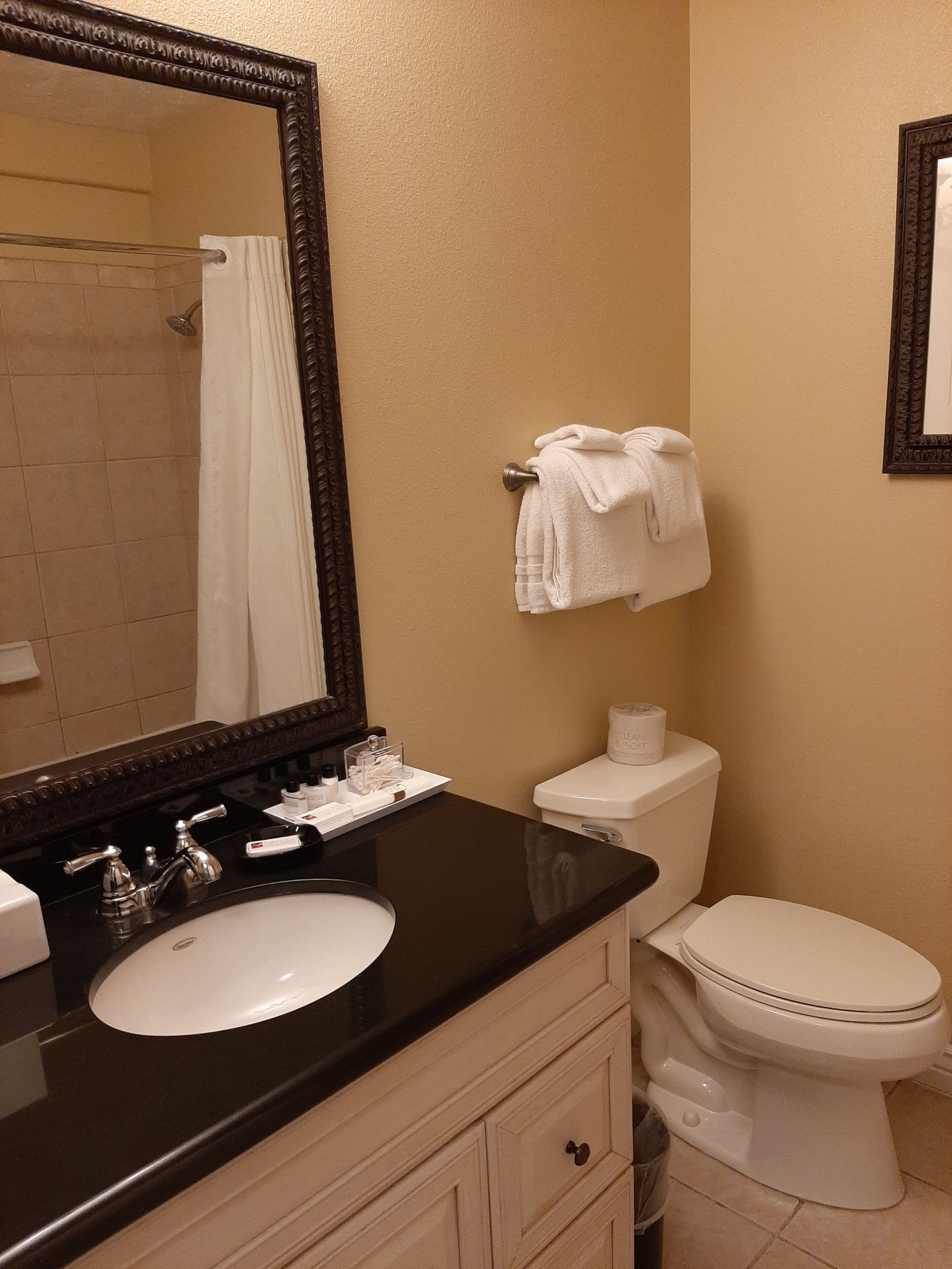 standard king room (no pets allowed) | bathroom | free toiletries, hair dryer, towels