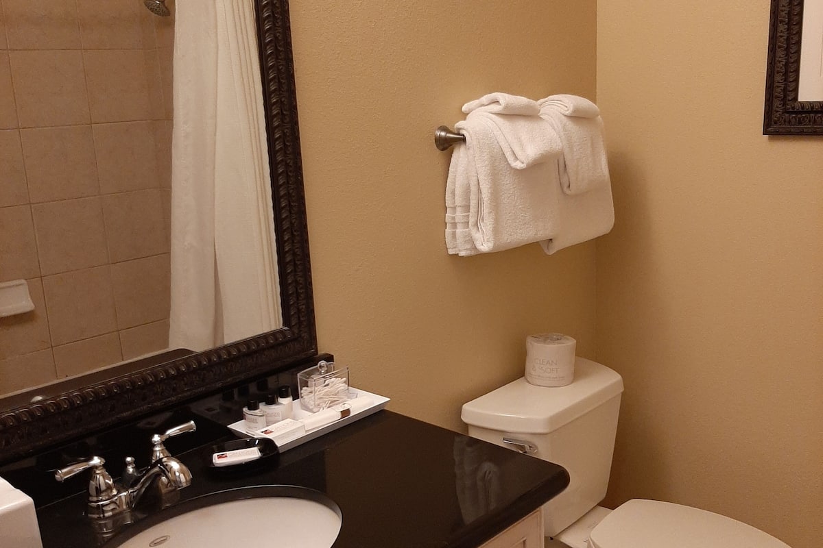 standard king room (no pets allowed) | bathroom | free toiletries, hair dryer, towels