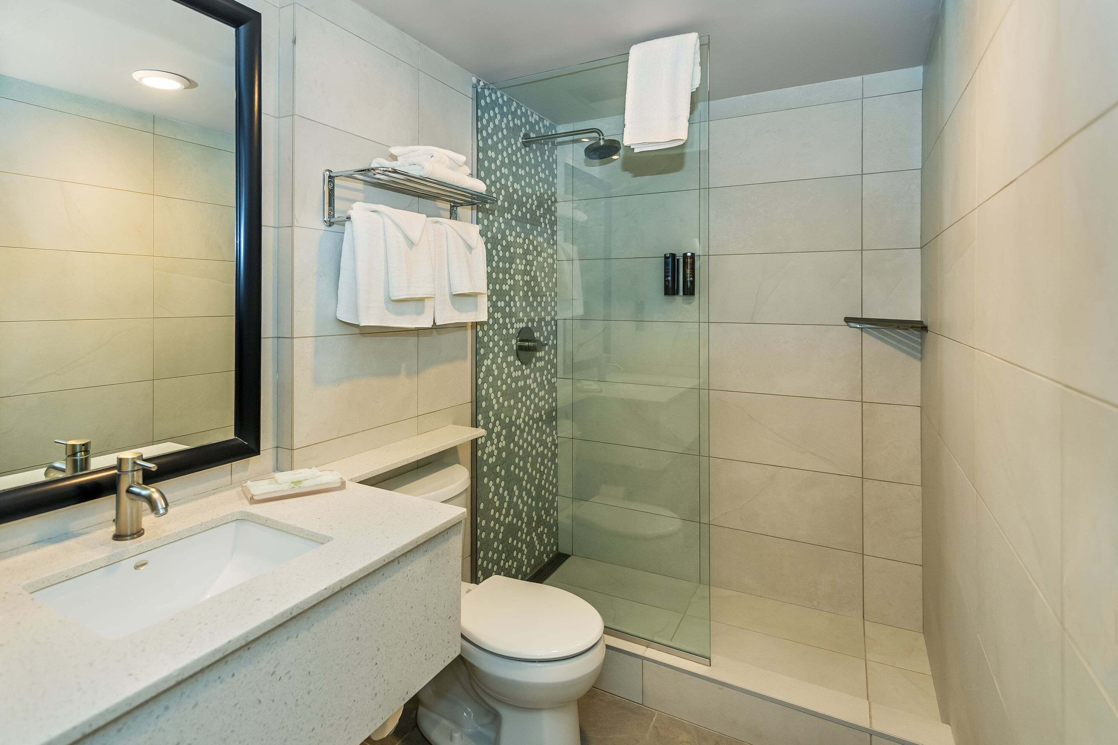 A modern bathroom with a glass shower enclosure, a white sink, and a toilet.