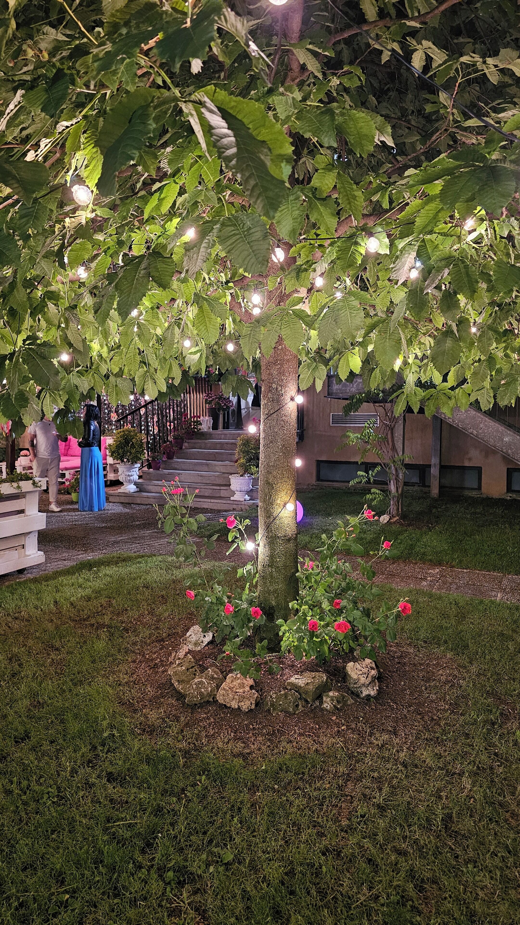 Terrain de l’hébergement 