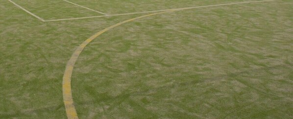 Parte de un campo deportivo con una línea divisoria amarilla.