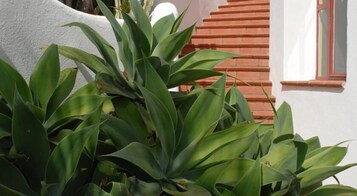 Un edificio con facciata bianca e una finestra con persiane rosse.