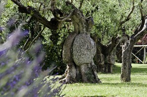 Zona de jocs infantil: a l'aire lliure