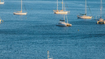 A marina with several sailboats and a large tour boat named "Lions" docked.