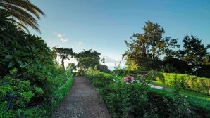 Un sentier pavé de pierres, serpentant à travers un jardin luxuriant, où le feuillage est dense et où l’on trouve une grande variété de plantes.