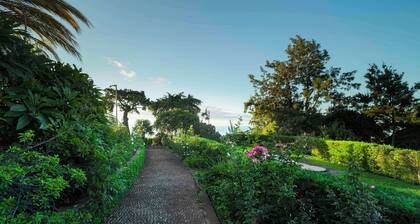 Quinta Funchal Gardens – Adults Only