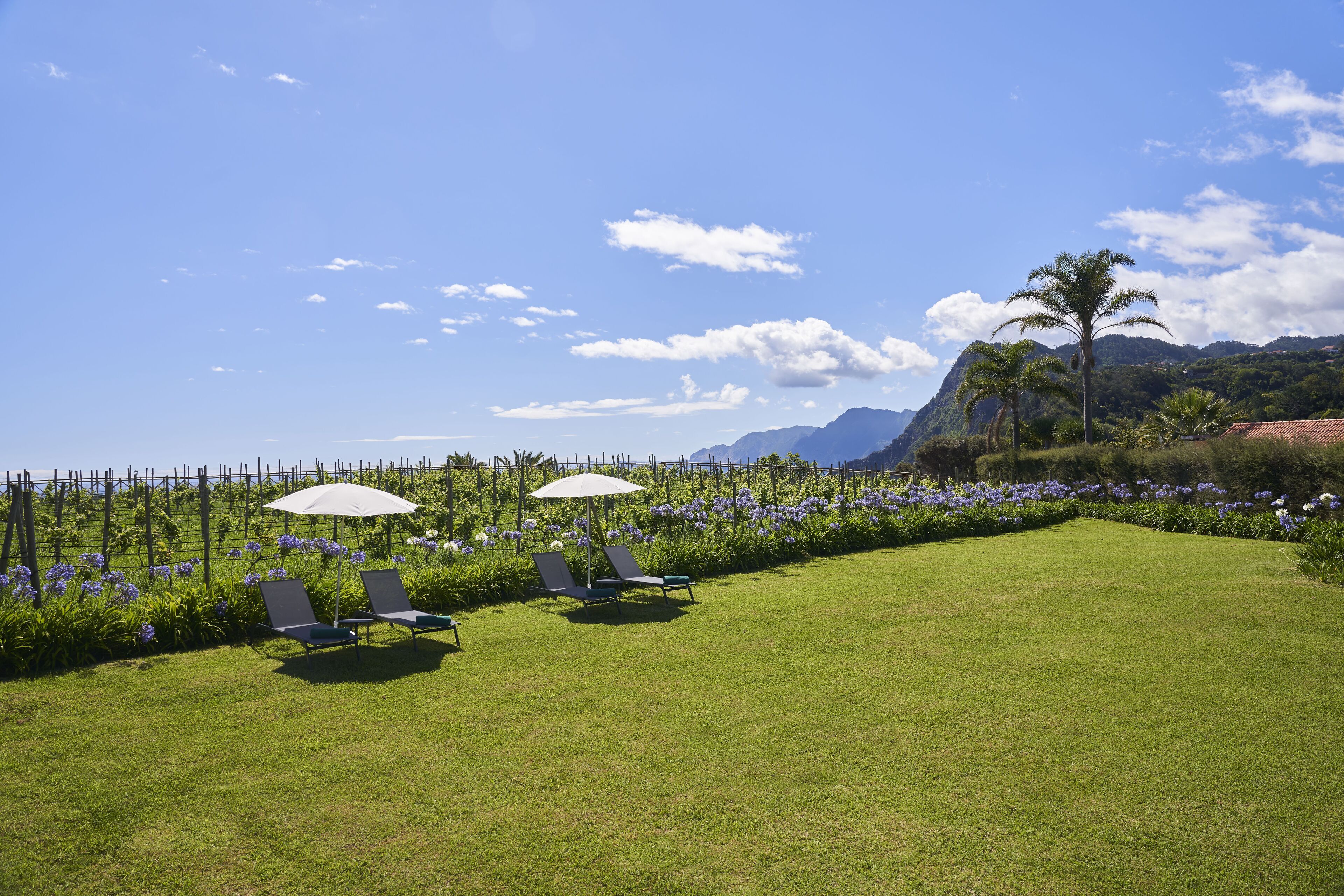 Une pelouse bien entretenue, agrémentée de deux chaises longues et de parasols, entourée d’une clôture et de fleurs aux couleurs vives, avec des montagnes en arrière-plan.