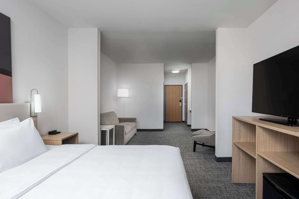 A hotel room with a bed, a TV, a desk, a chair, and a sofa.