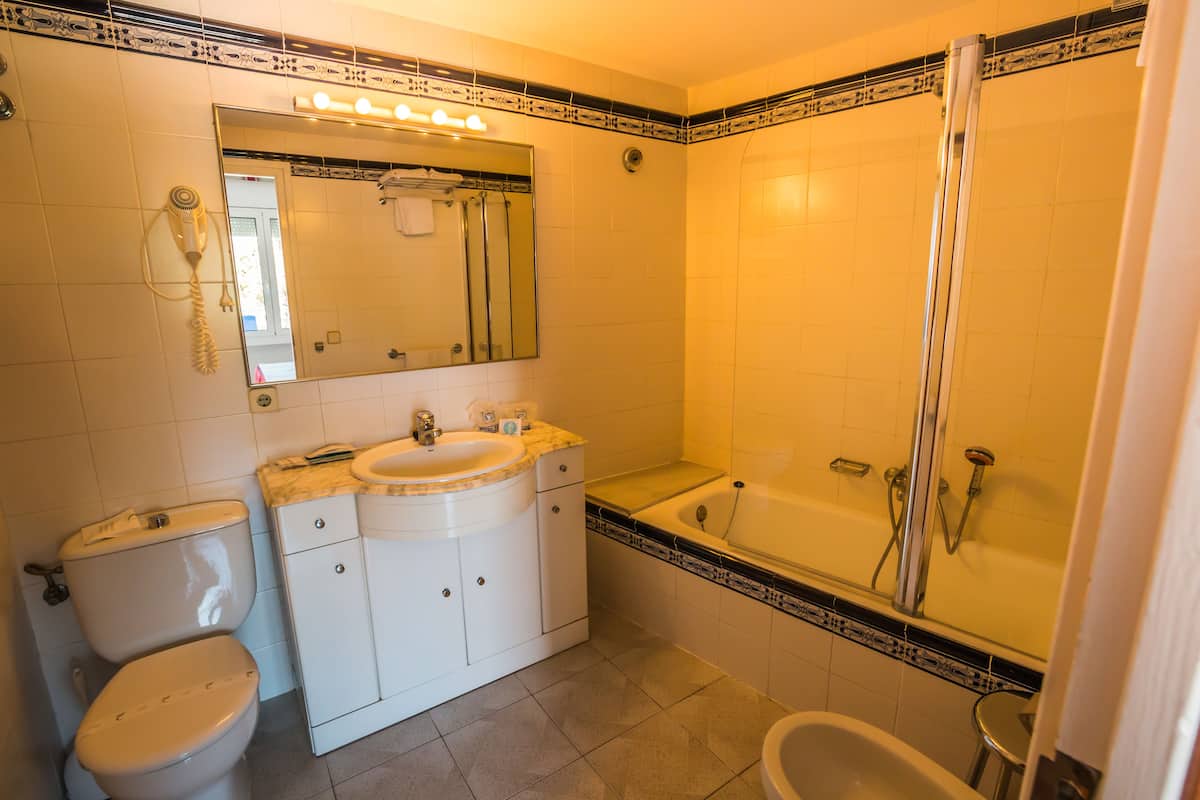 combined shower/bathtub, free toiletries, hair dryer, bidet