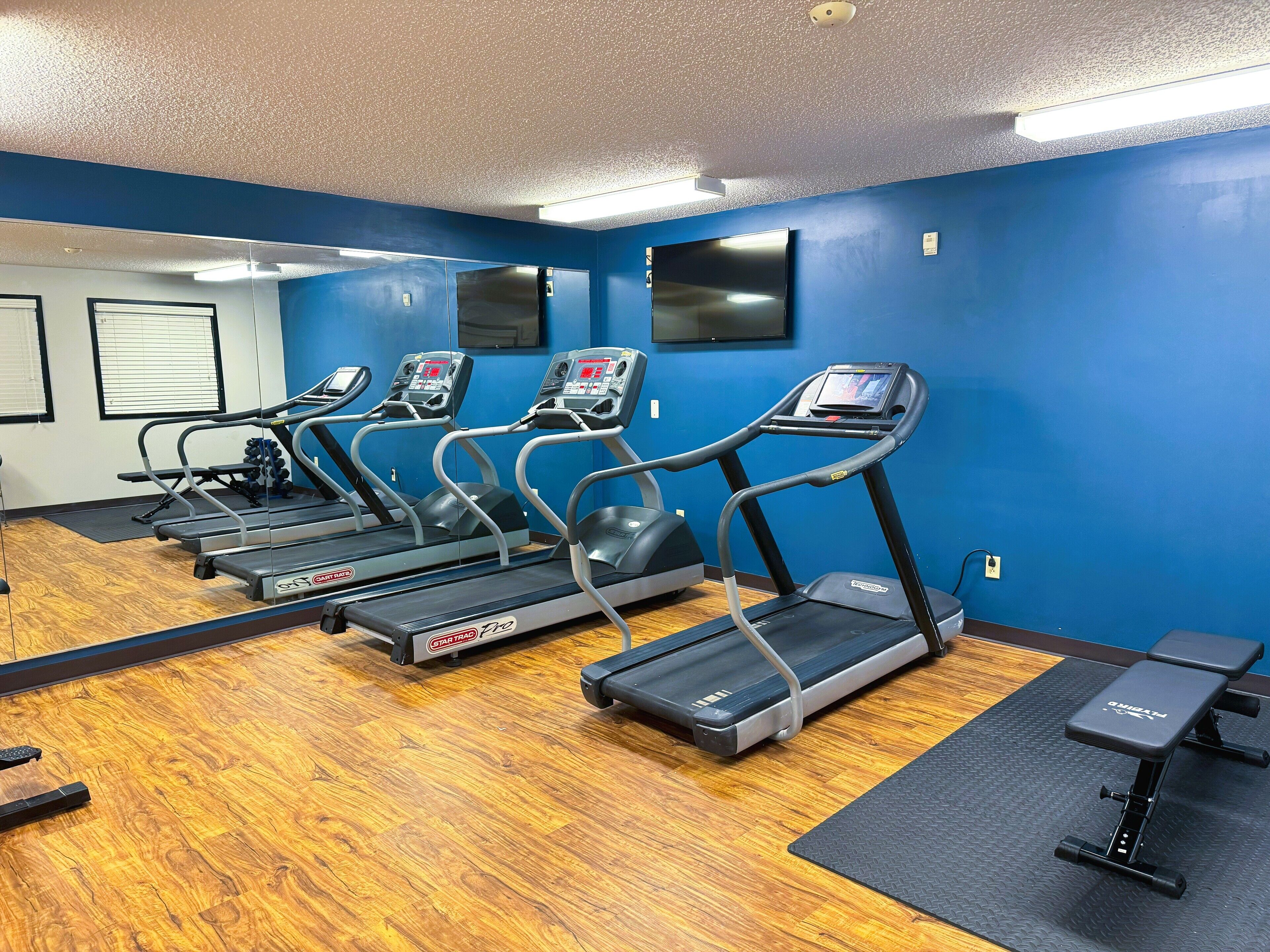 A gym with treadmills, a bench, and a mirrored wall.