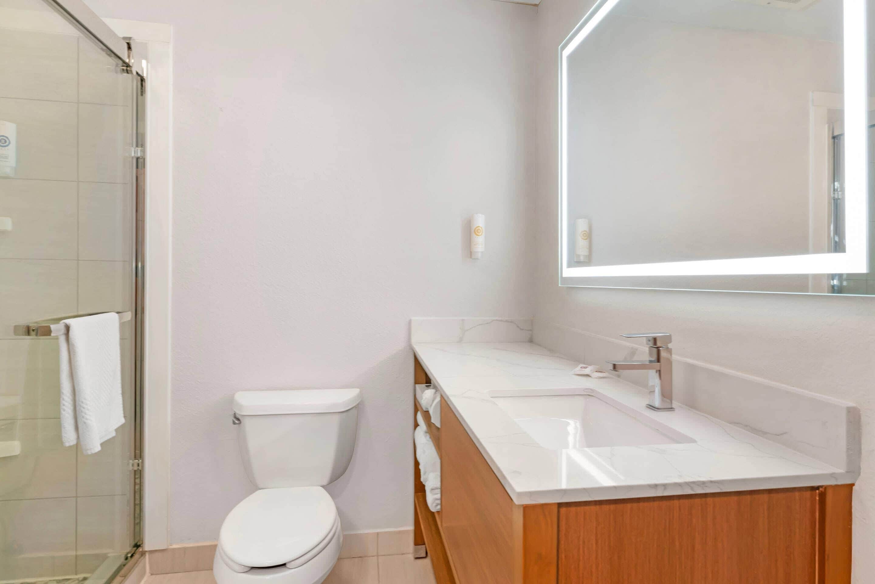 A modern bathroom with a glass shower enclosure, a white toilet, and a vanity with a large mirror.