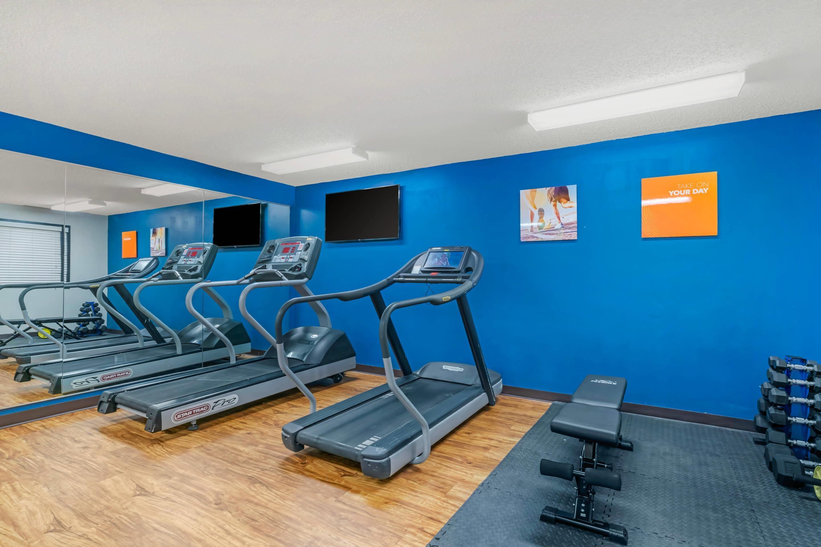 Une salle de sport équipée de tapis de course, d’un banc et d’haltères.