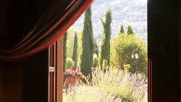 A window with a view of a garden and trees.