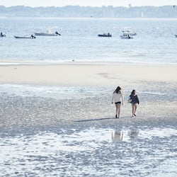 Private beach nearby, sun-loungers, beach towels