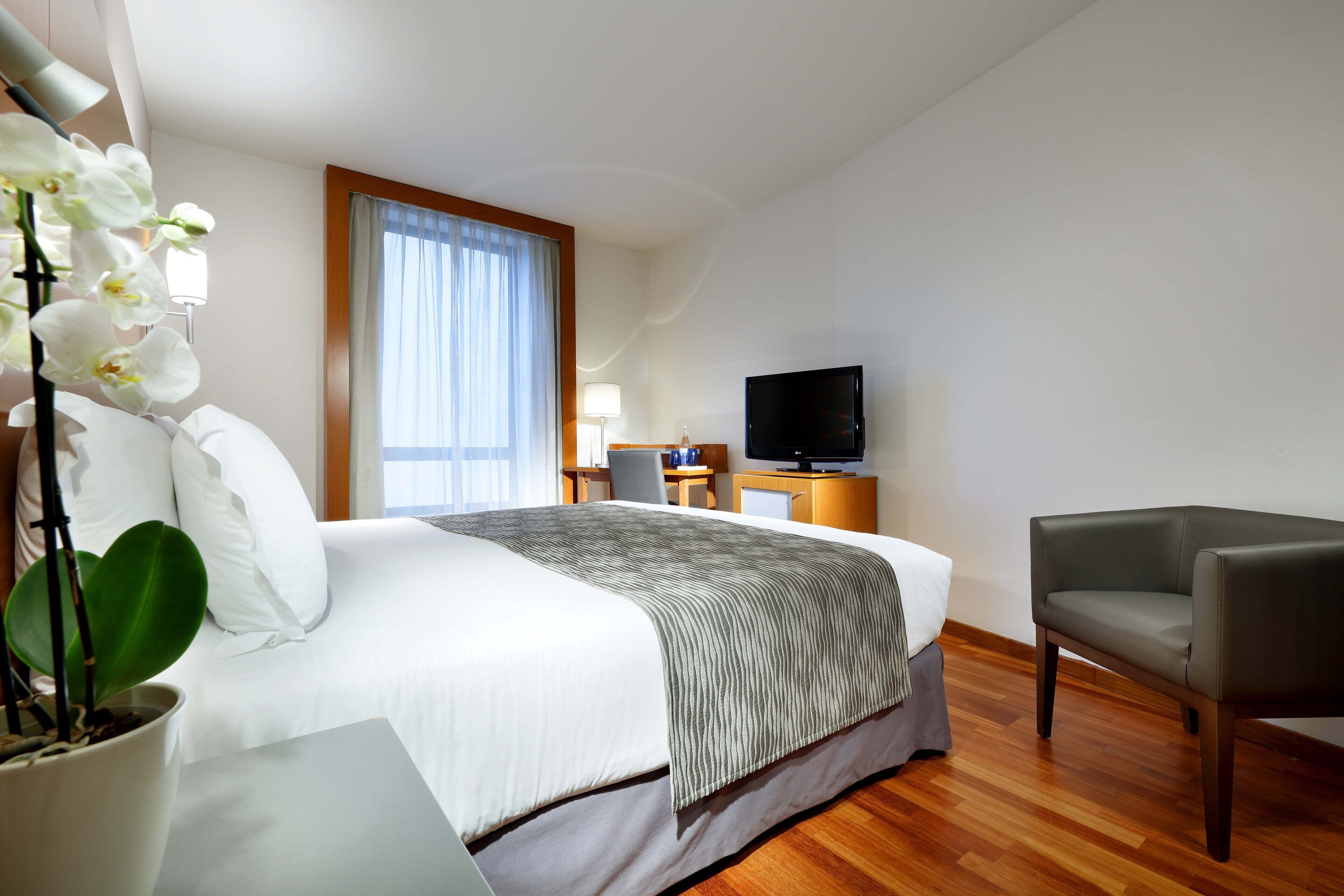 Une chambre d’hôtel avec un lit, une télévision, un bureau avec une chaise et une plante en pot.