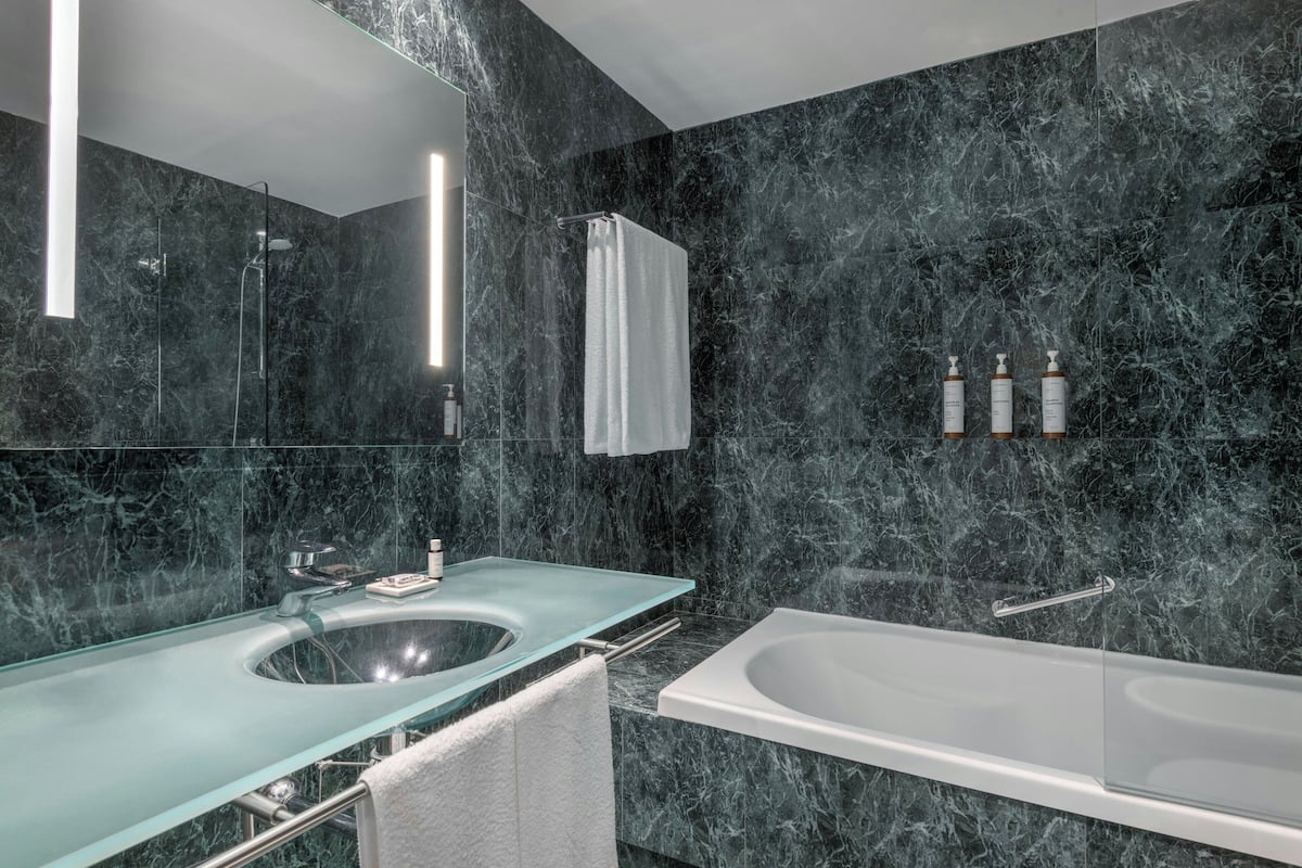 combined shower/bathtub, free toiletries, hair dryer, bidet