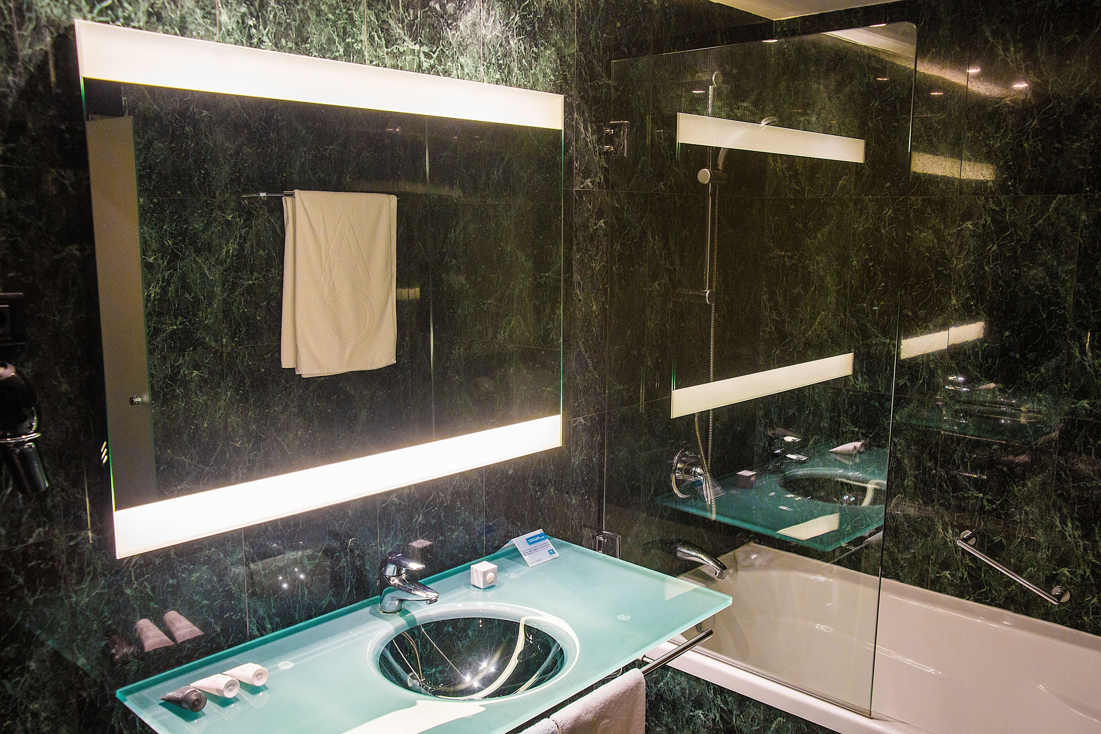 combined shower/bathtub, free toiletries, hair dryer, bidet