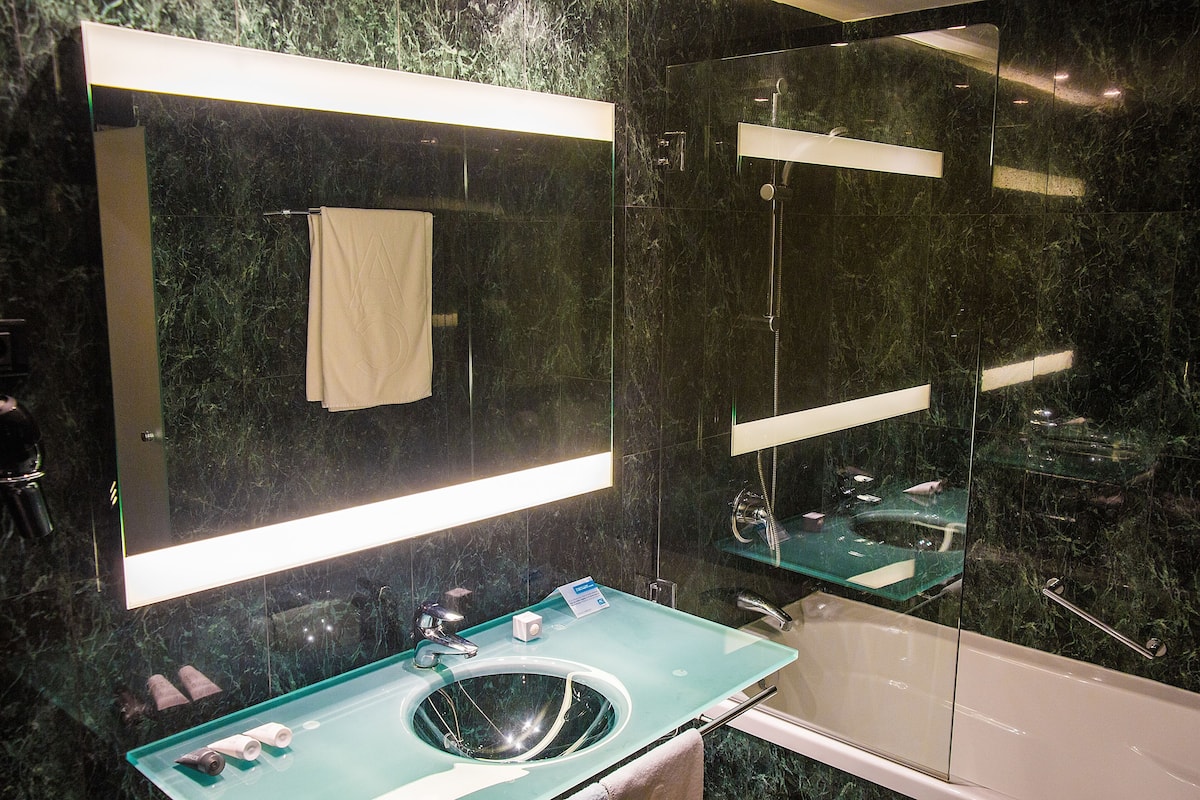 combined shower/bathtub, free toiletries, hair dryer, bidet