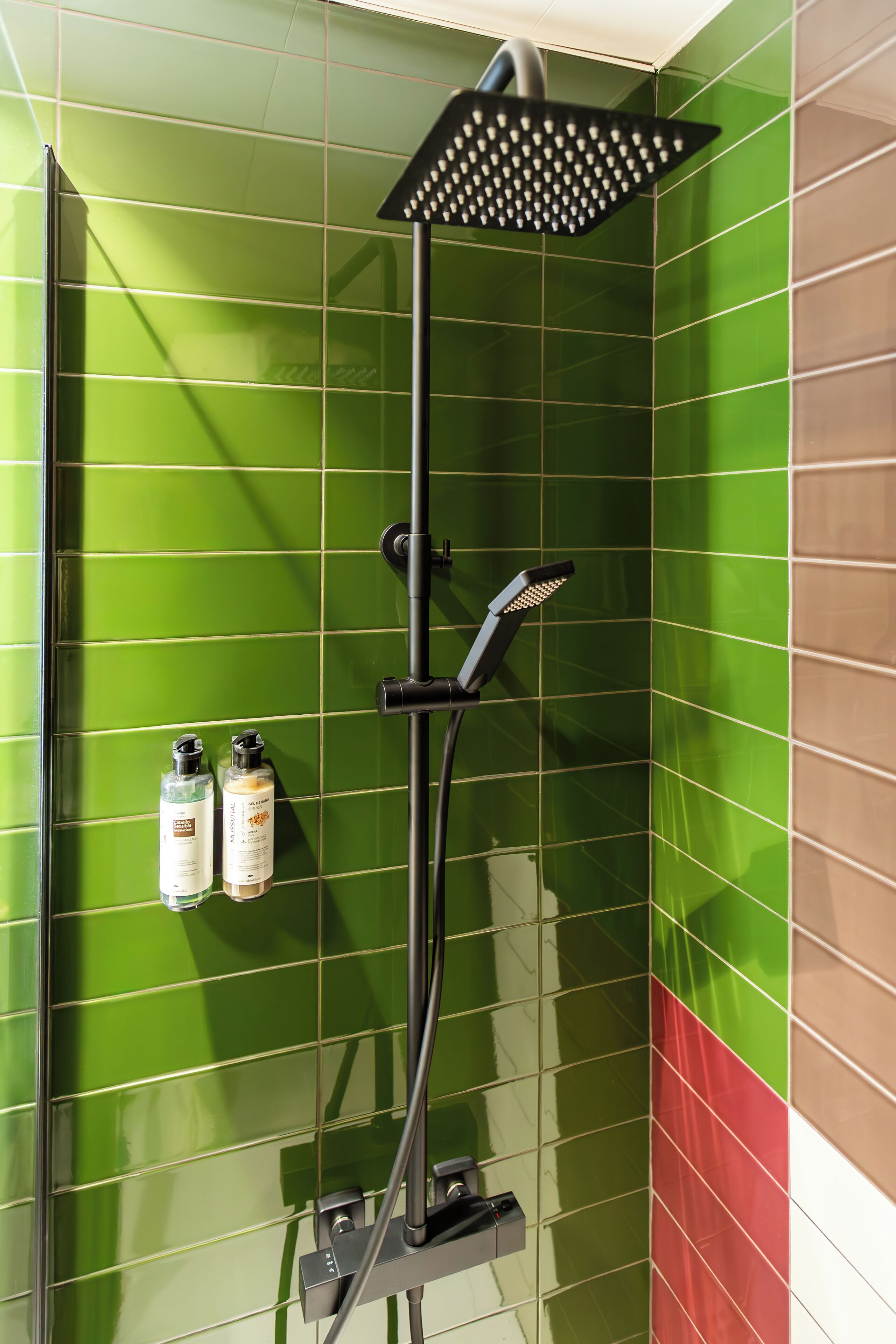 shower, eco-friendly toiletries, hair dryer, towels