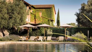 A pool area with lounge chairs and umbrellas, a building with ivy-covered walls, and a clear sky.