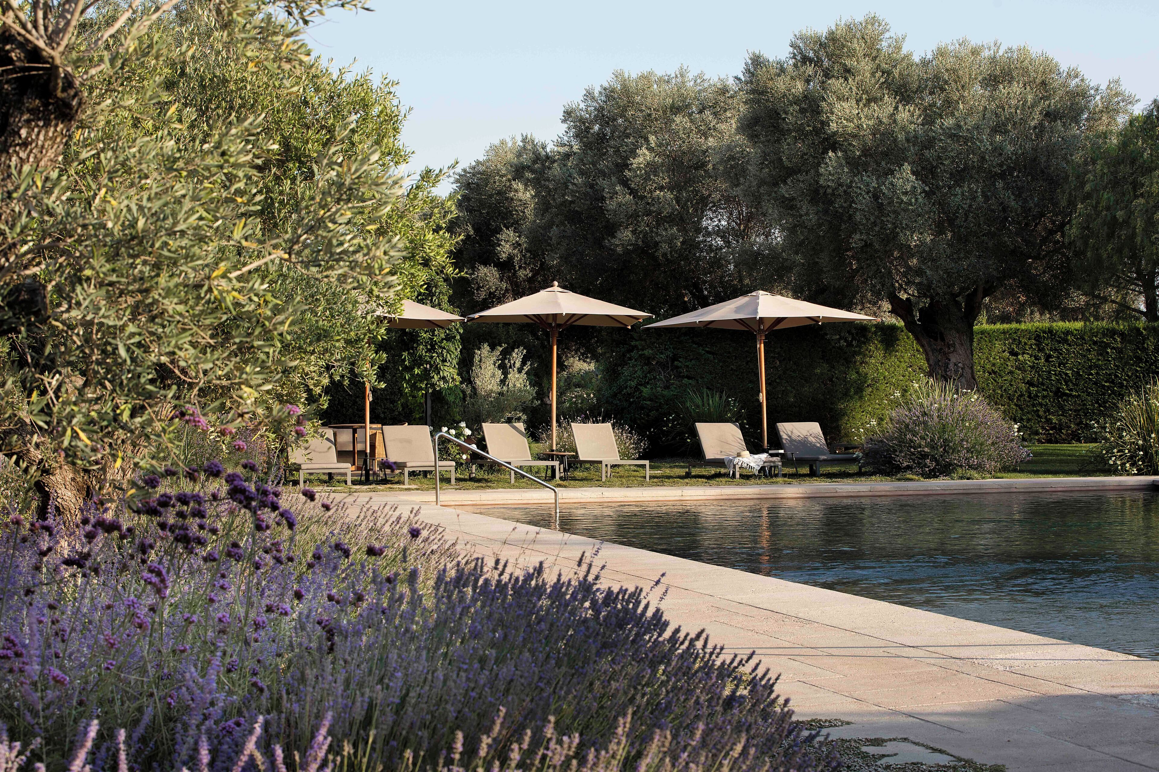 Un área junto a la piscina con sillones de descanso y sombrillas, rodeada de vegetación y árboles.