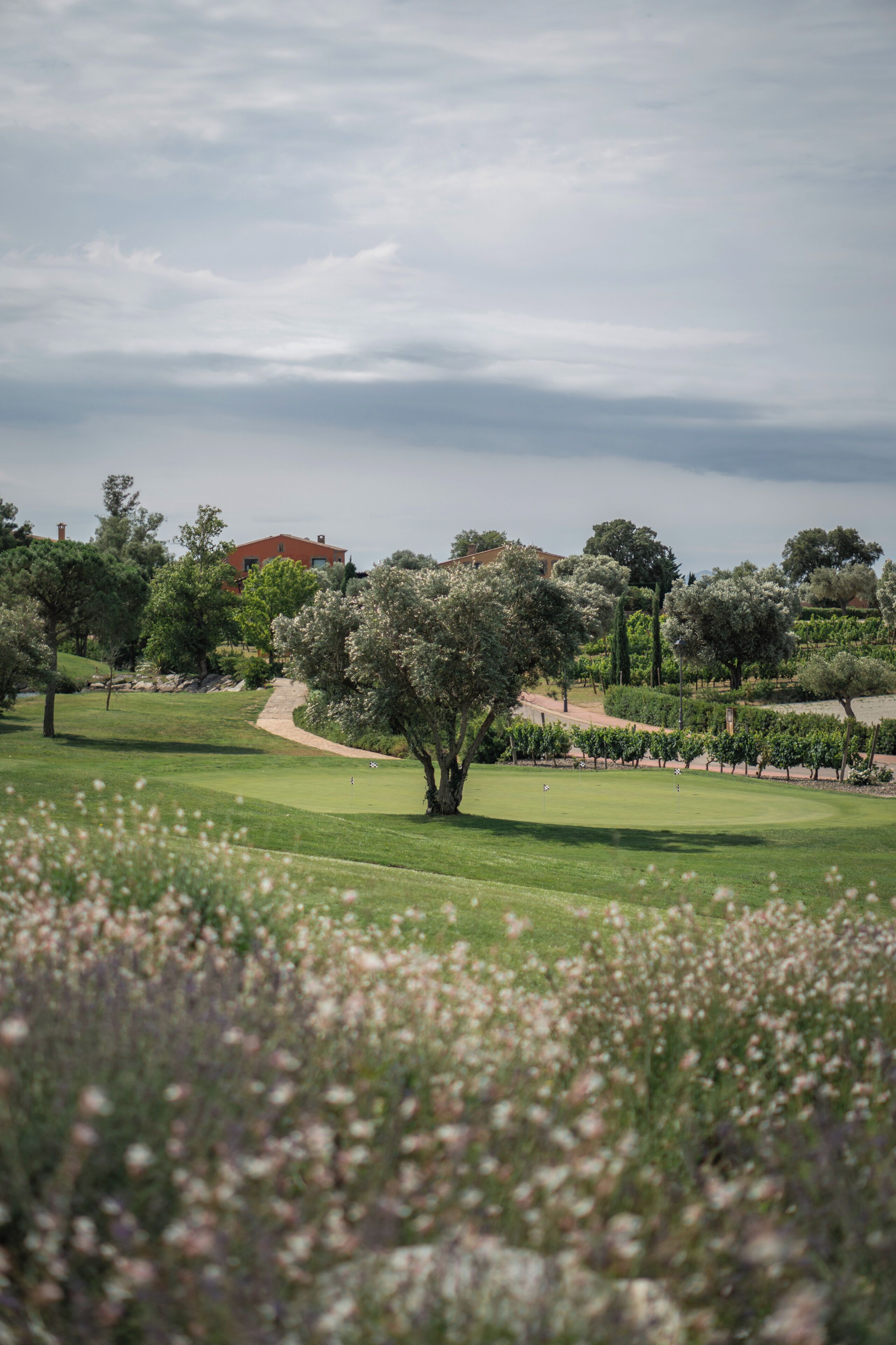 Un campo de golf con un árbol en primer plano, un sendero y un edificio al fondo.