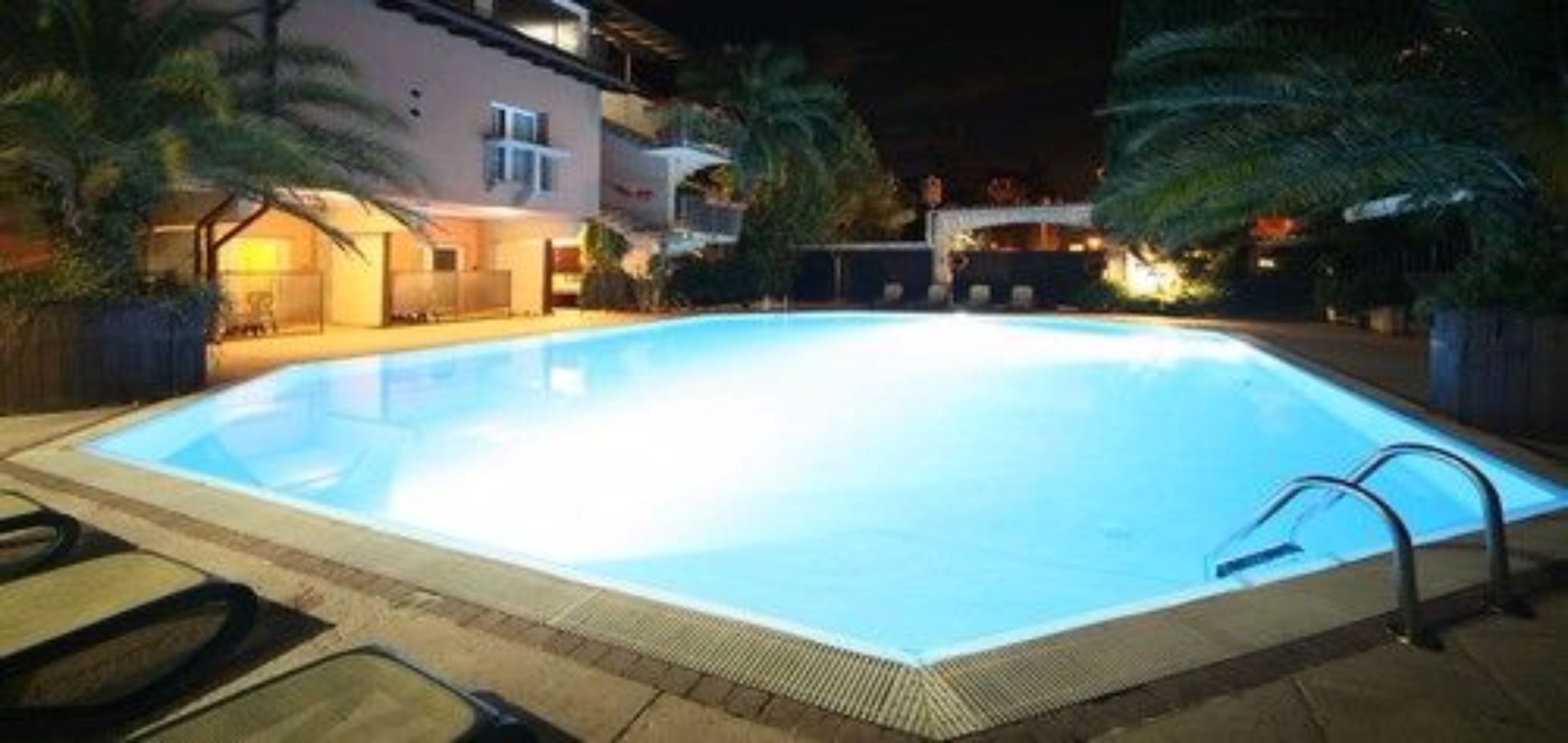A rectangular swimming pool with a tiled edge, surrounded by palm trees and a building with multiple windows.