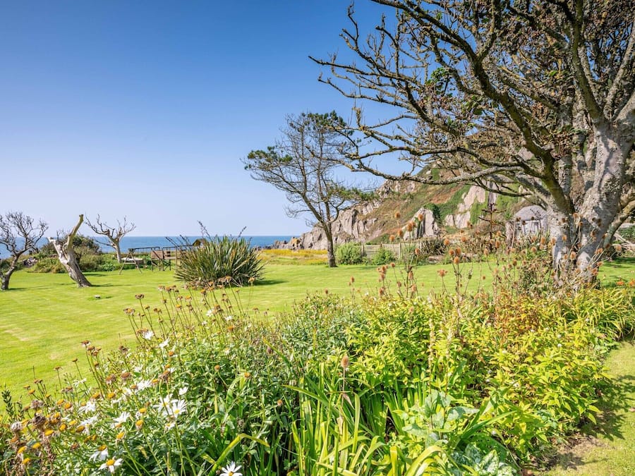 A lush garden with a variety of plants and trees, a clear blue sky, and a view of the sea in the background.