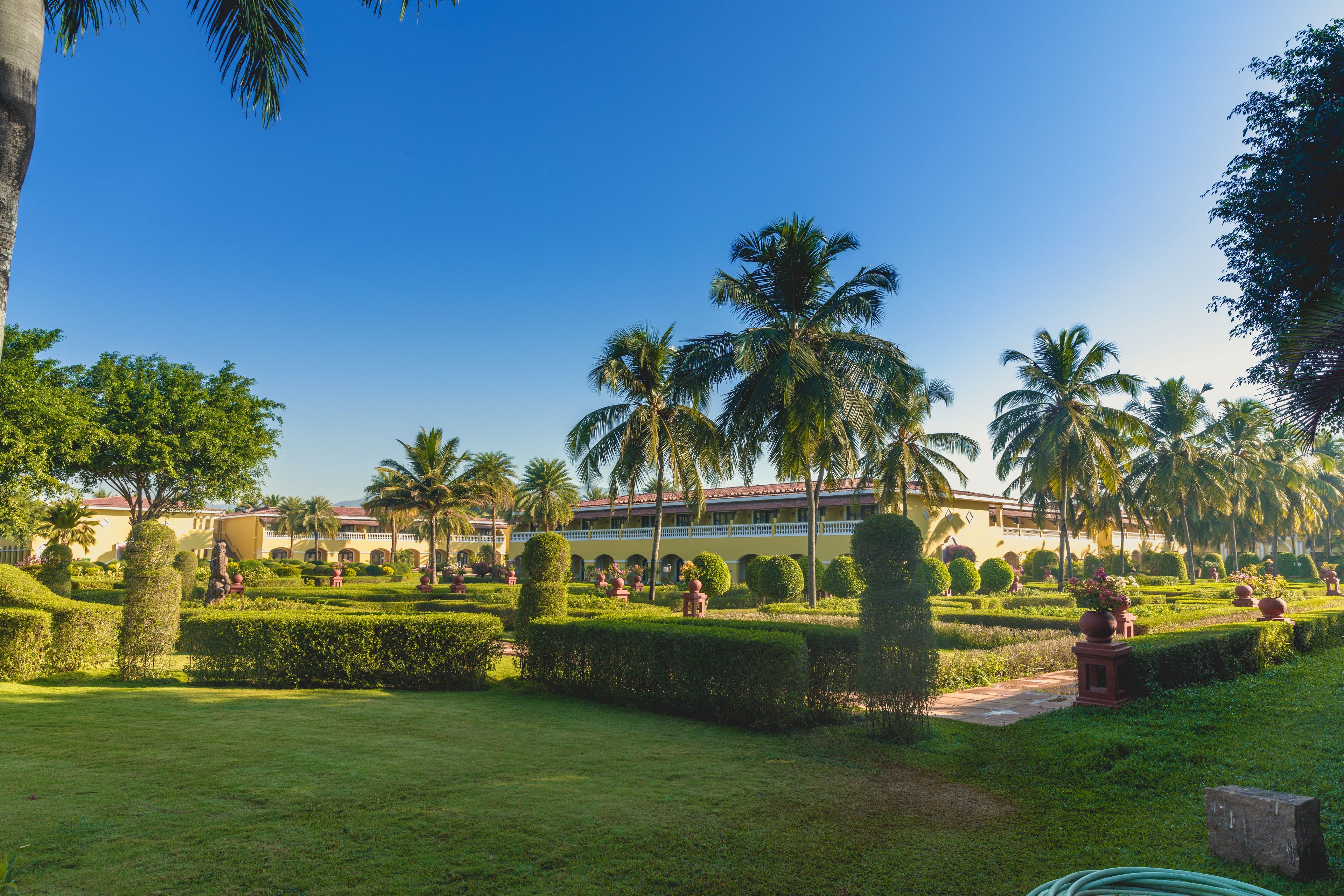 A well-maintained garden with neatly trimmed hedges, palm trees, and a building with a red roof in the background.