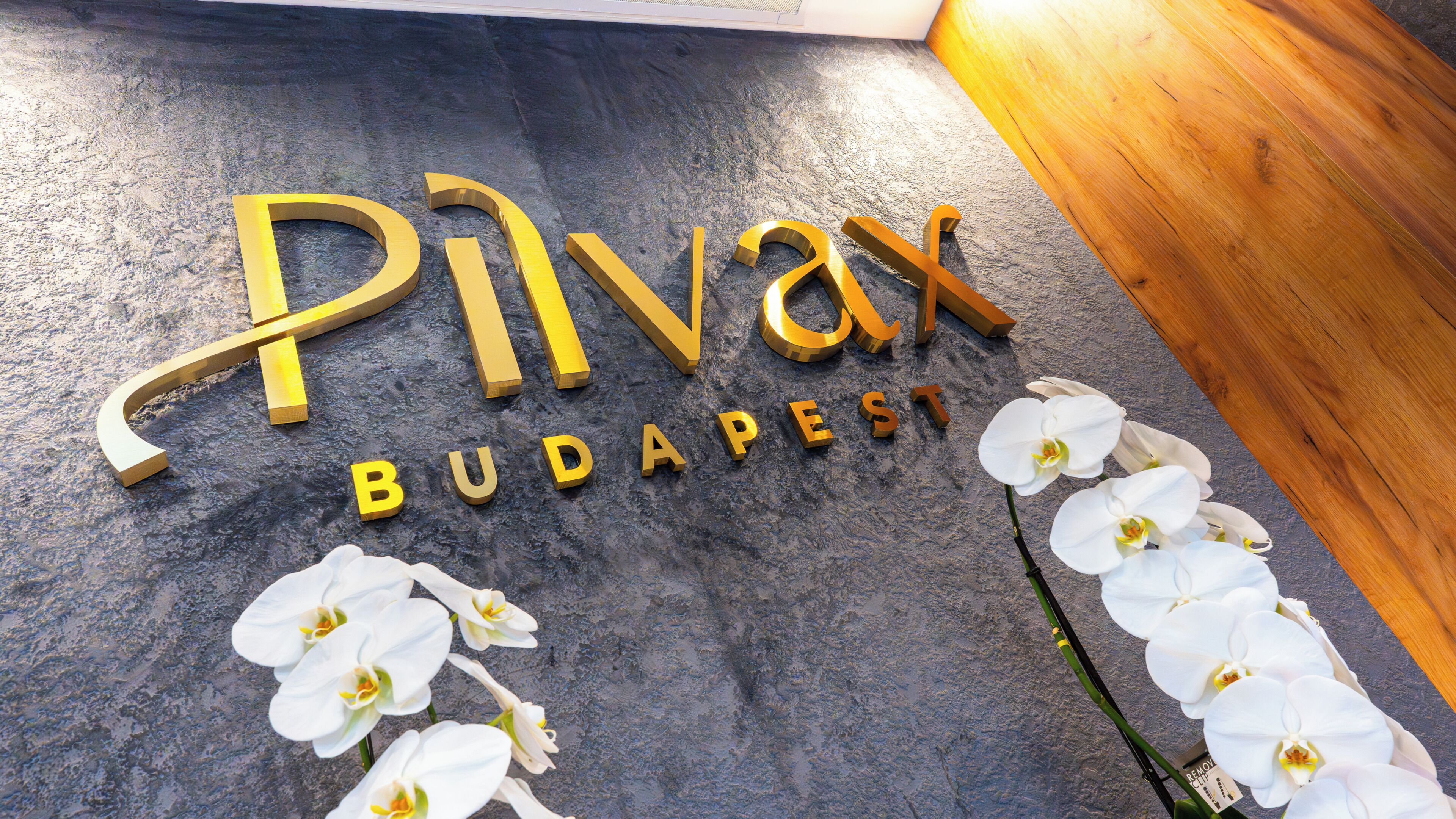 Foto - Pilvax Hotel Budapest