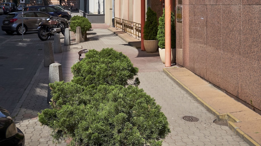 Hotel Reytan