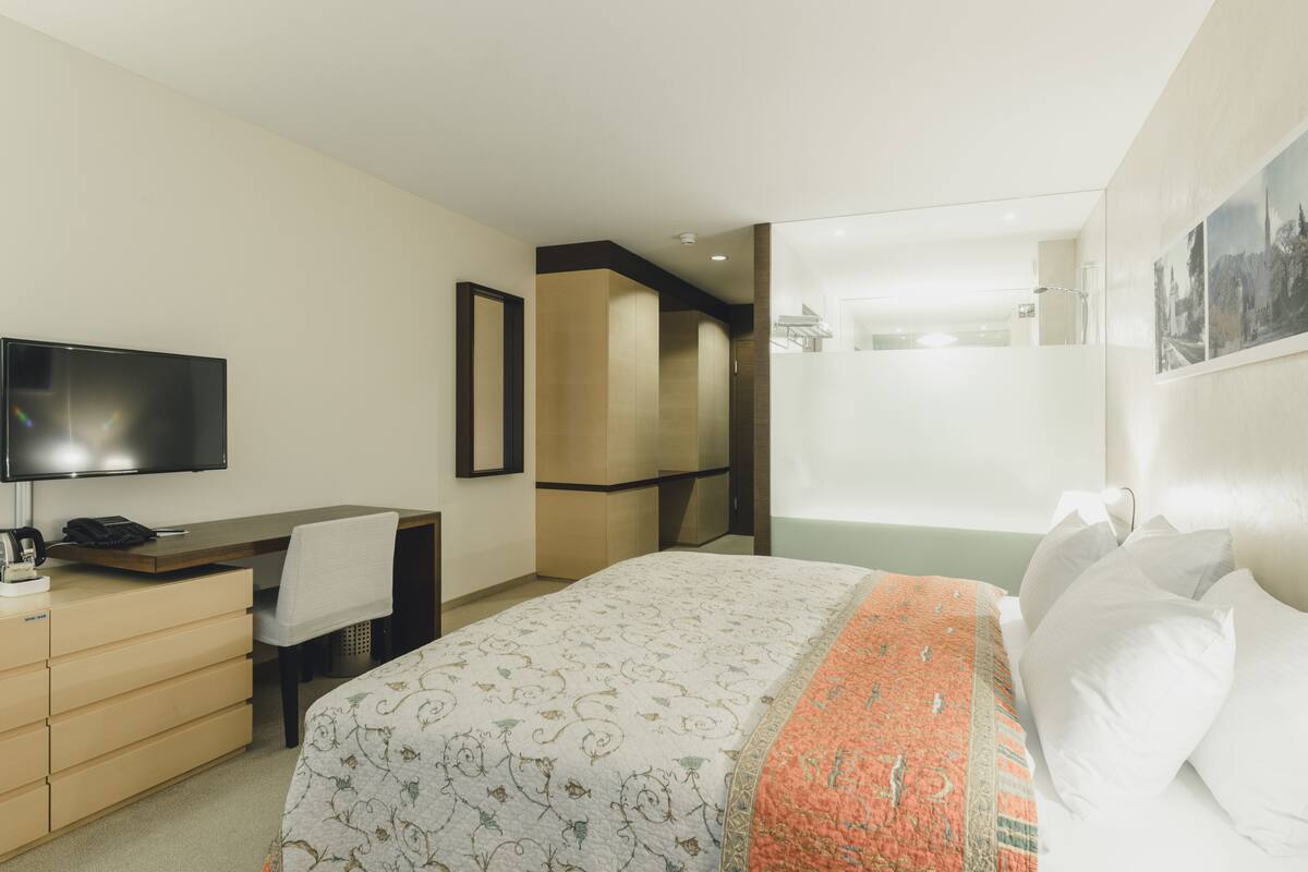 Habitación de hotel con cama, escritorio, silla, televisión y baño con ducha.