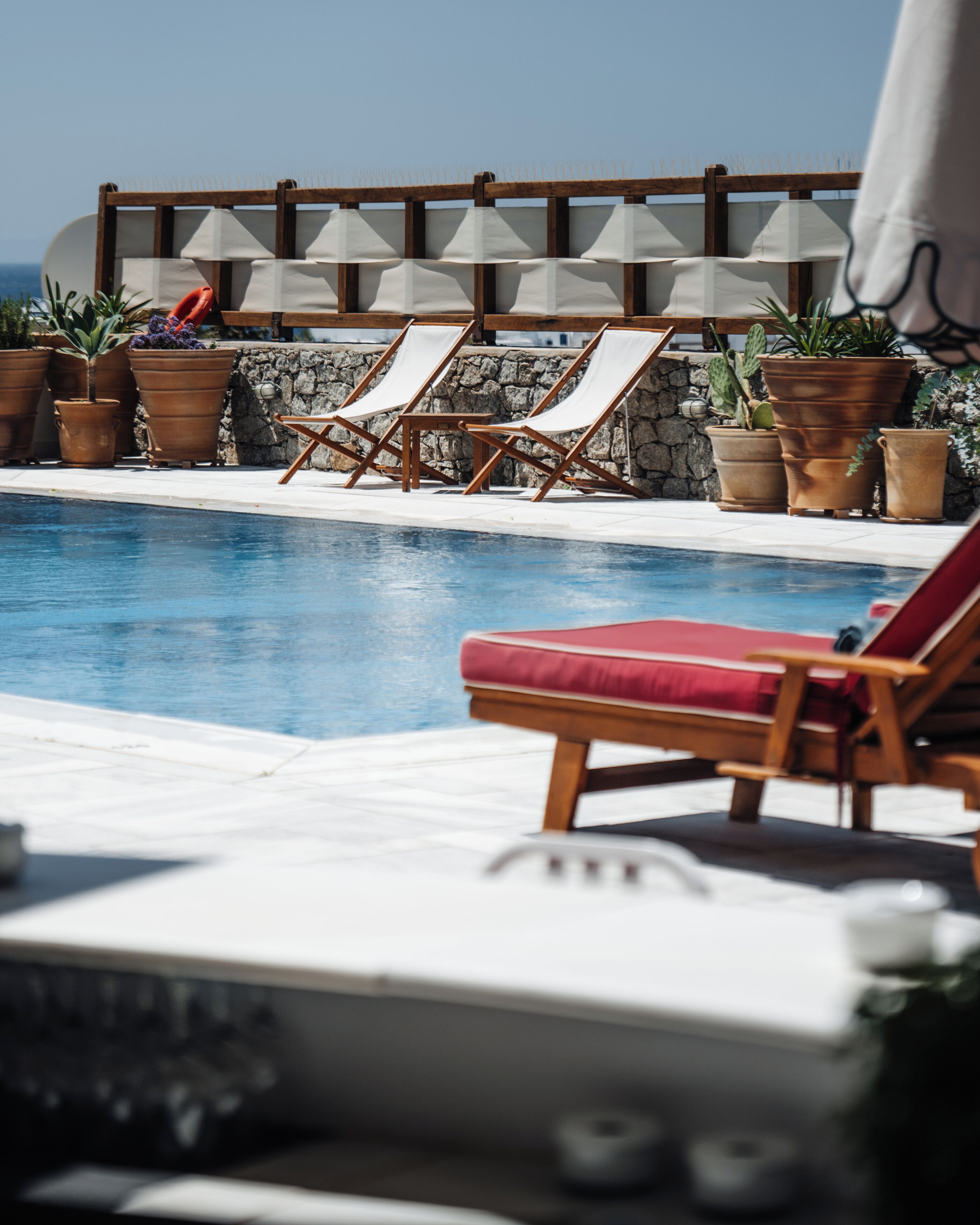 Un área junto a la piscina con sillones de descanso y plantas en macetas.