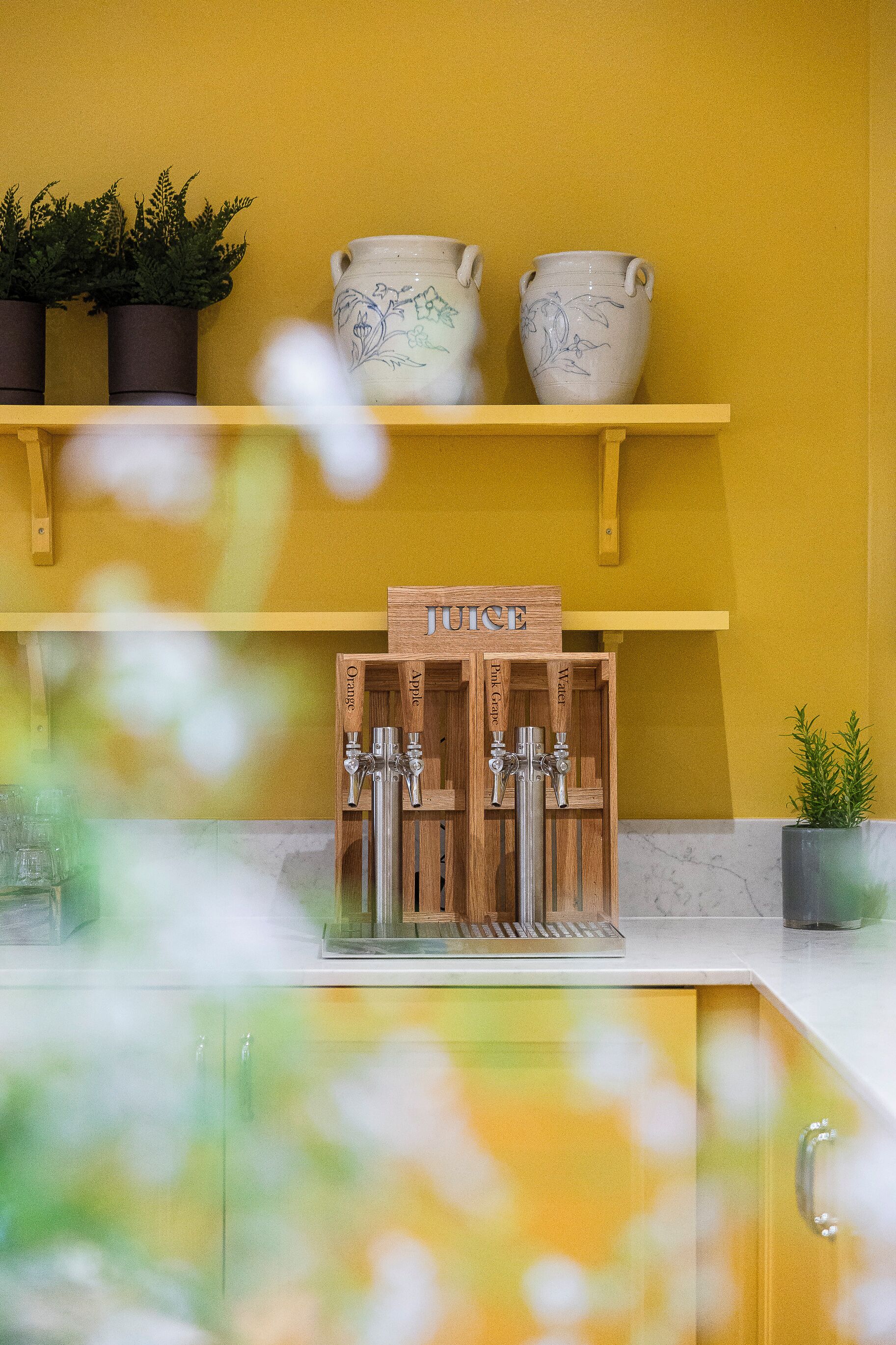 breakfast and dinner served