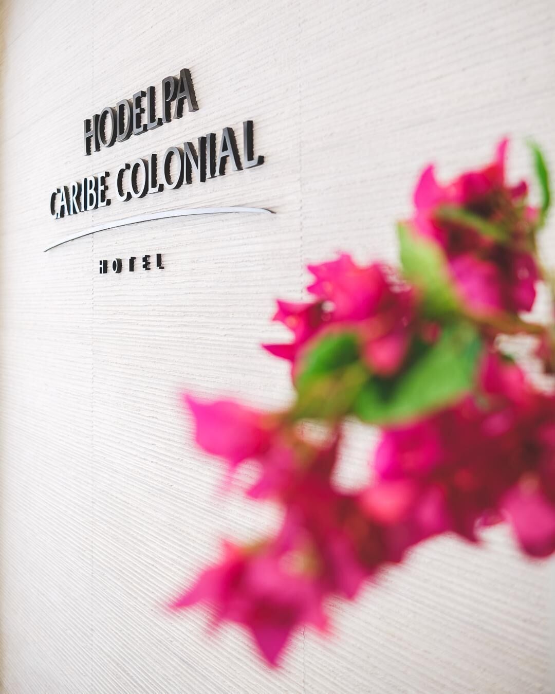 A sign for 'Hotel Modelo Caribe Colonial' with a partial view of pink flowers.