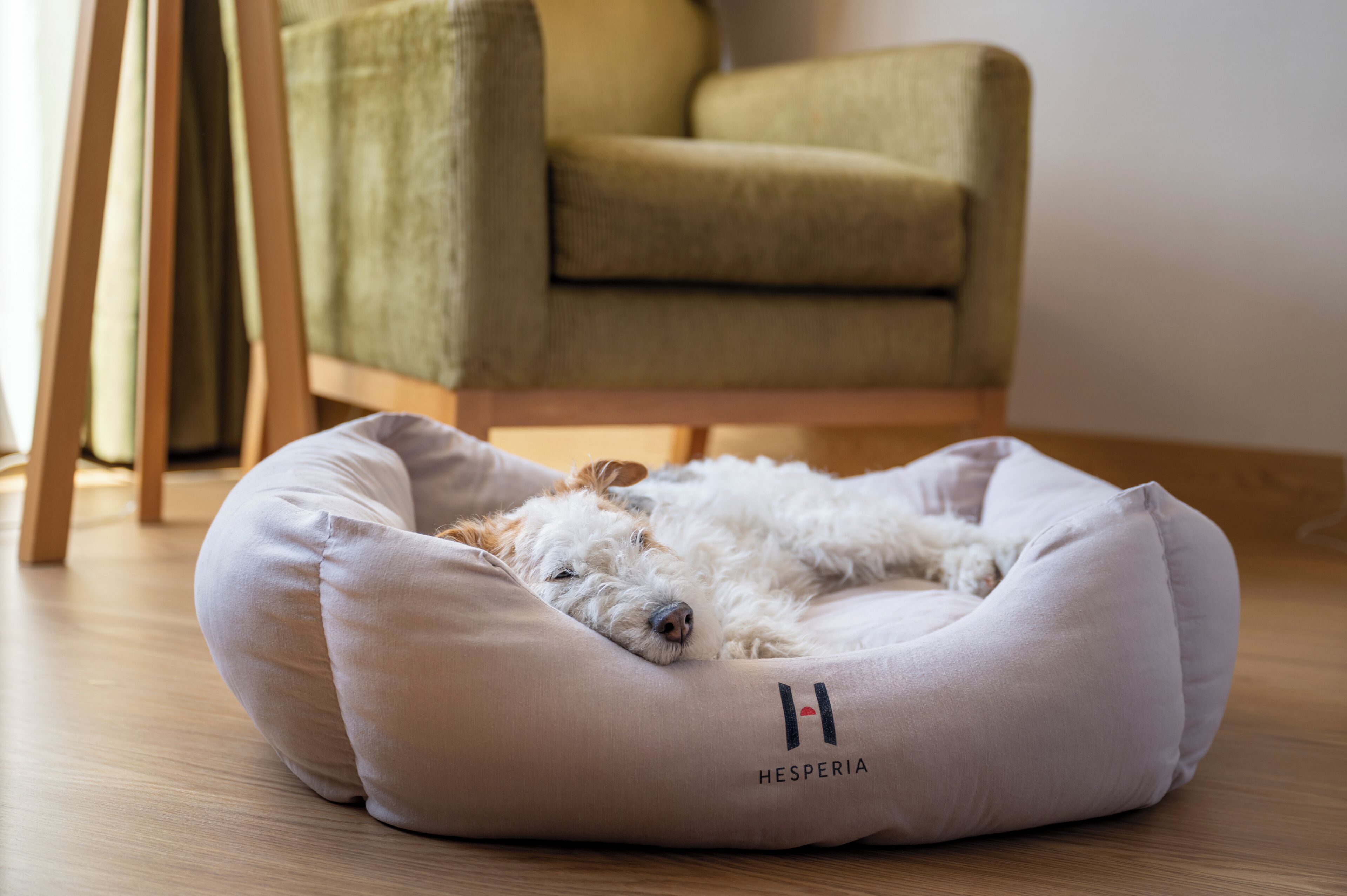 Foto - Hesperia Murcia Centro