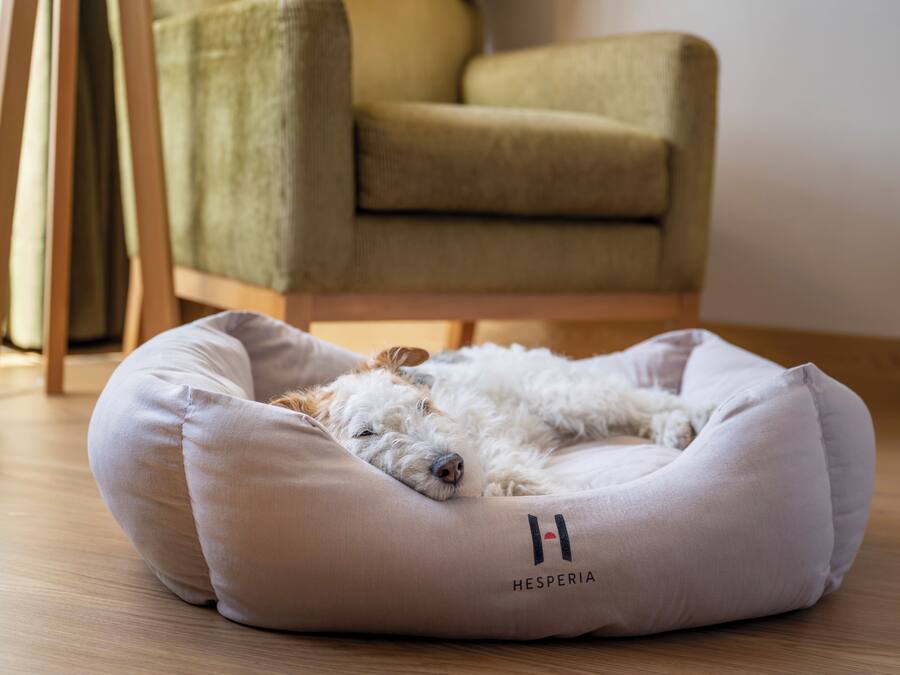 Un perro pequeño descansando en una cama para mascotas de color claro con el nombre de marca