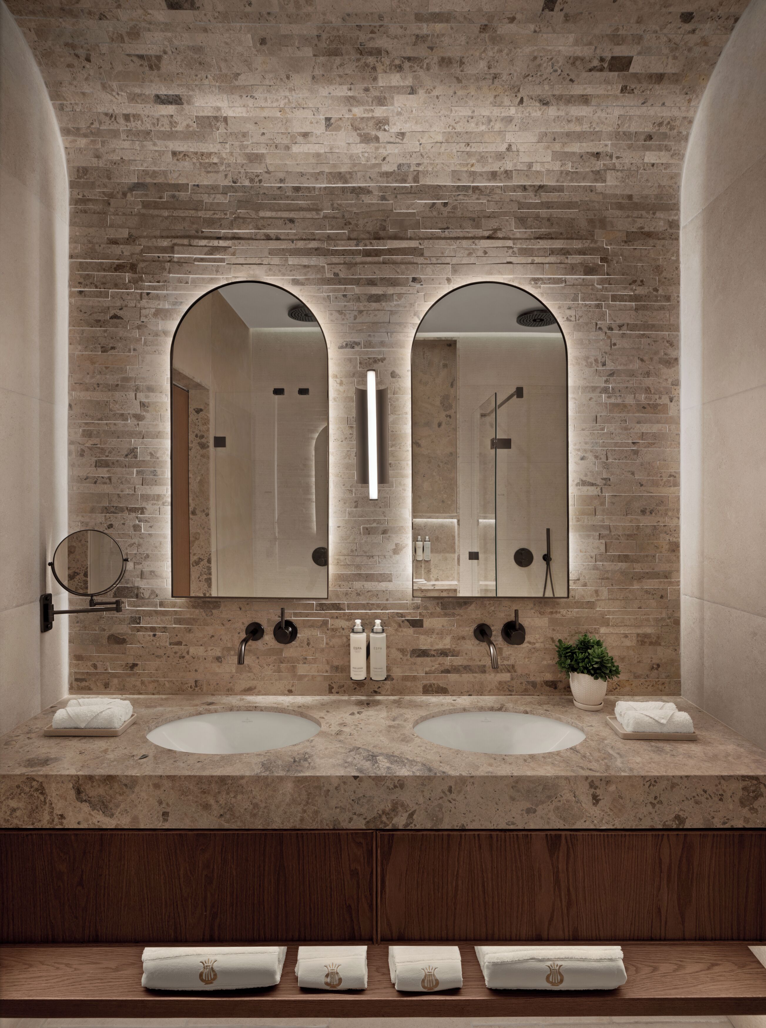 A bathroom with two sinks, a mirror, and a potted plant.