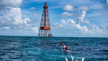 A lighthouse in the background with people swimming in the foreground.