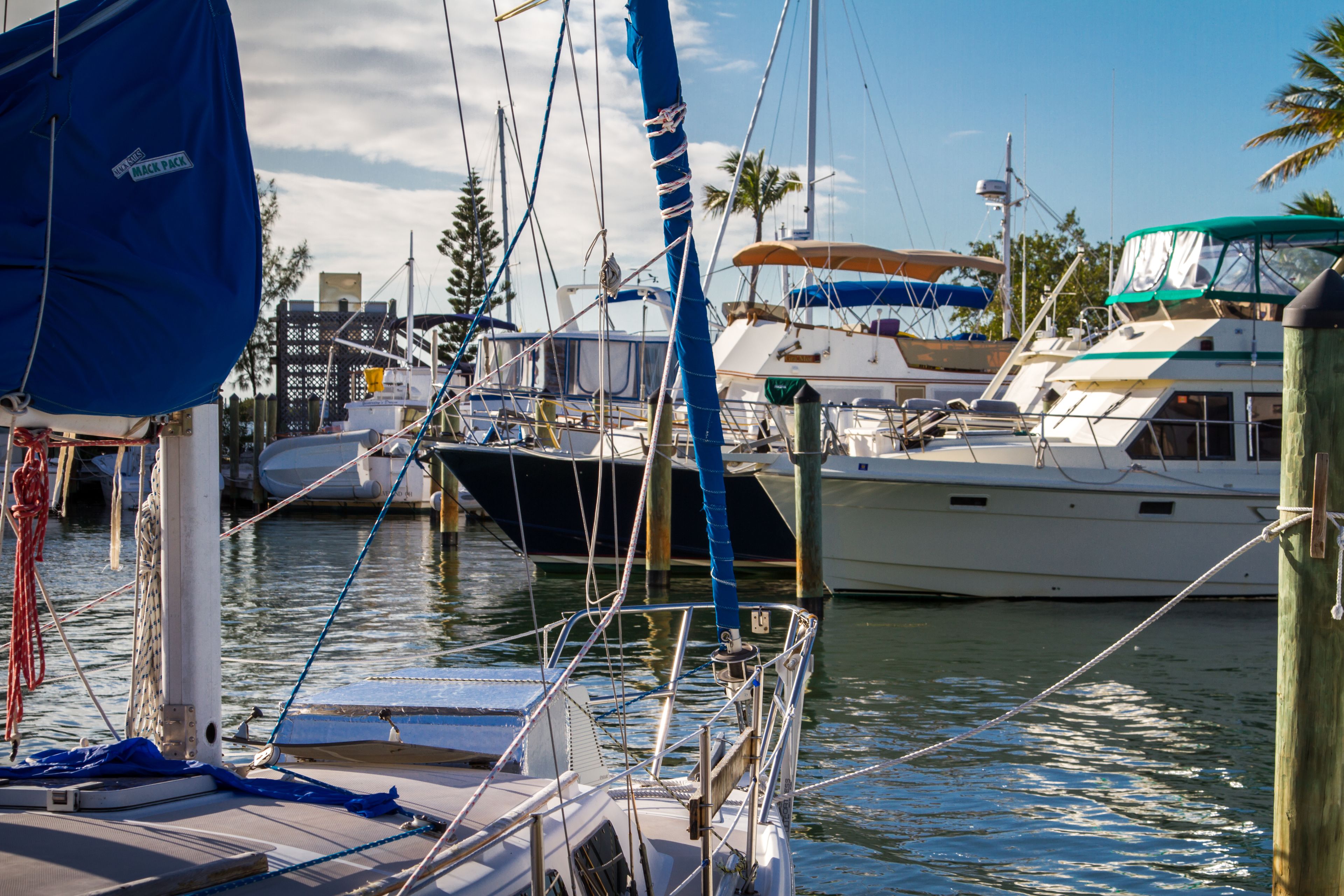 A marina with several boats docked, featuring masts, sails, and various boat structures.